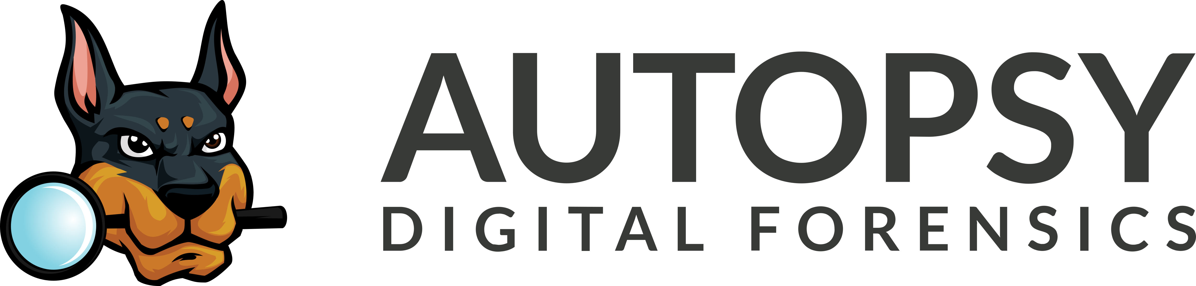 Autopsy